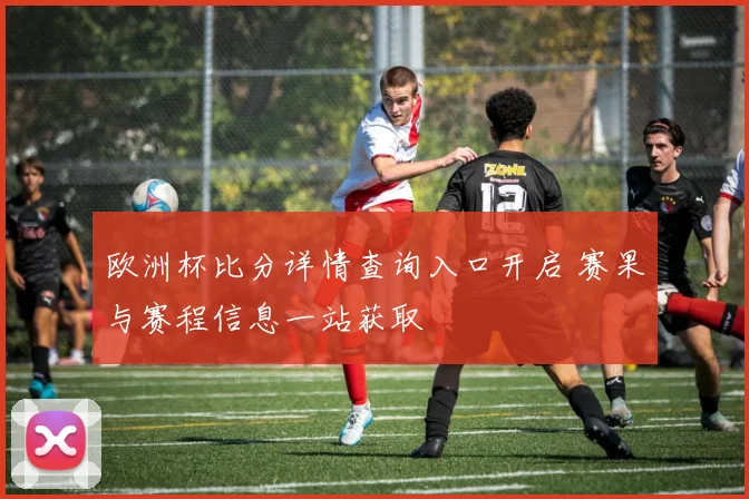 欧洲杯比分详情查询入口开启 赛果与赛程信息一站获取
