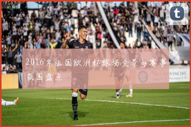 2016年法国欧洲杯球场全景与赛事氛围盘点