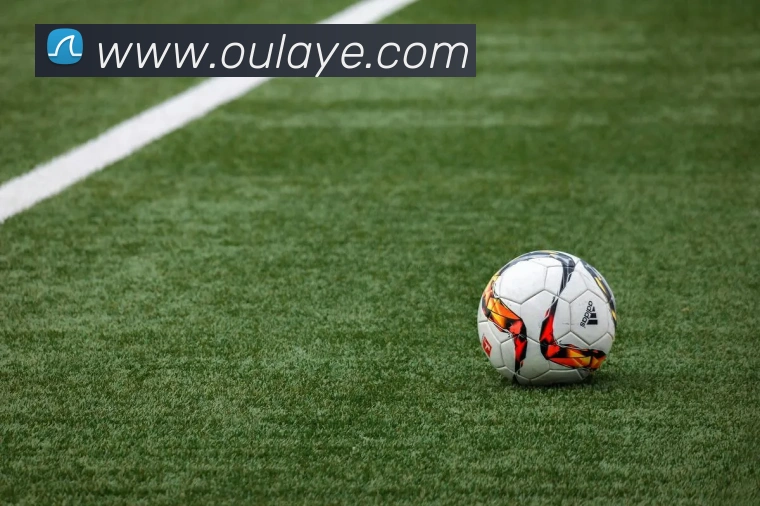 App Interface Preview